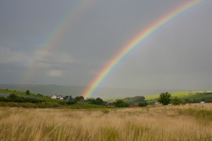 20110618190034_SOLO9105     