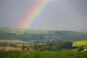 20110618190519_SOLO9126     