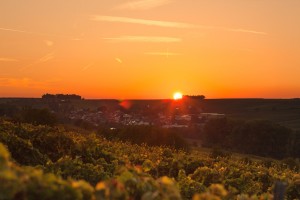 20111003185217_SOLO2608         