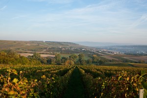 20111004082213_SOLO2617          