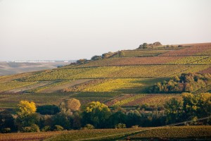 20111022172148_SOLO4408          