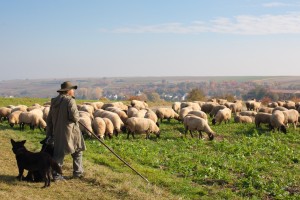 20111031131926_SOLO5636          